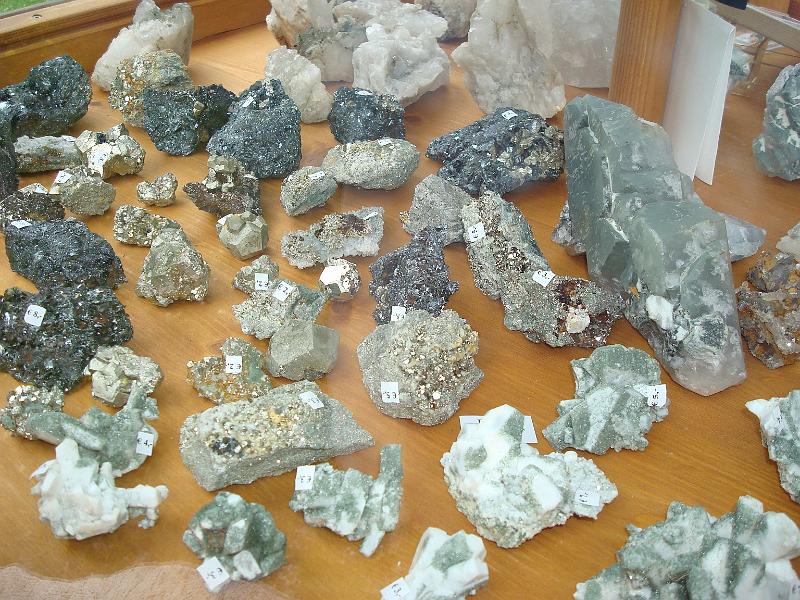 AUS01062009 (96).jpg